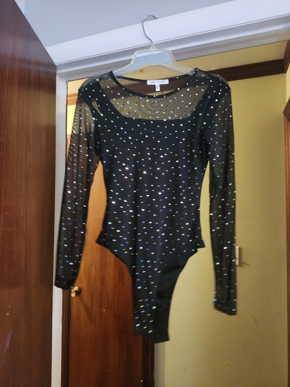 Sheer Black Long-Sleeve Rhinestone Bodysuit